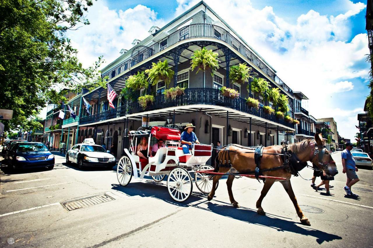 Esplanade Magic Lägenhet New Orleans Exteriör bild